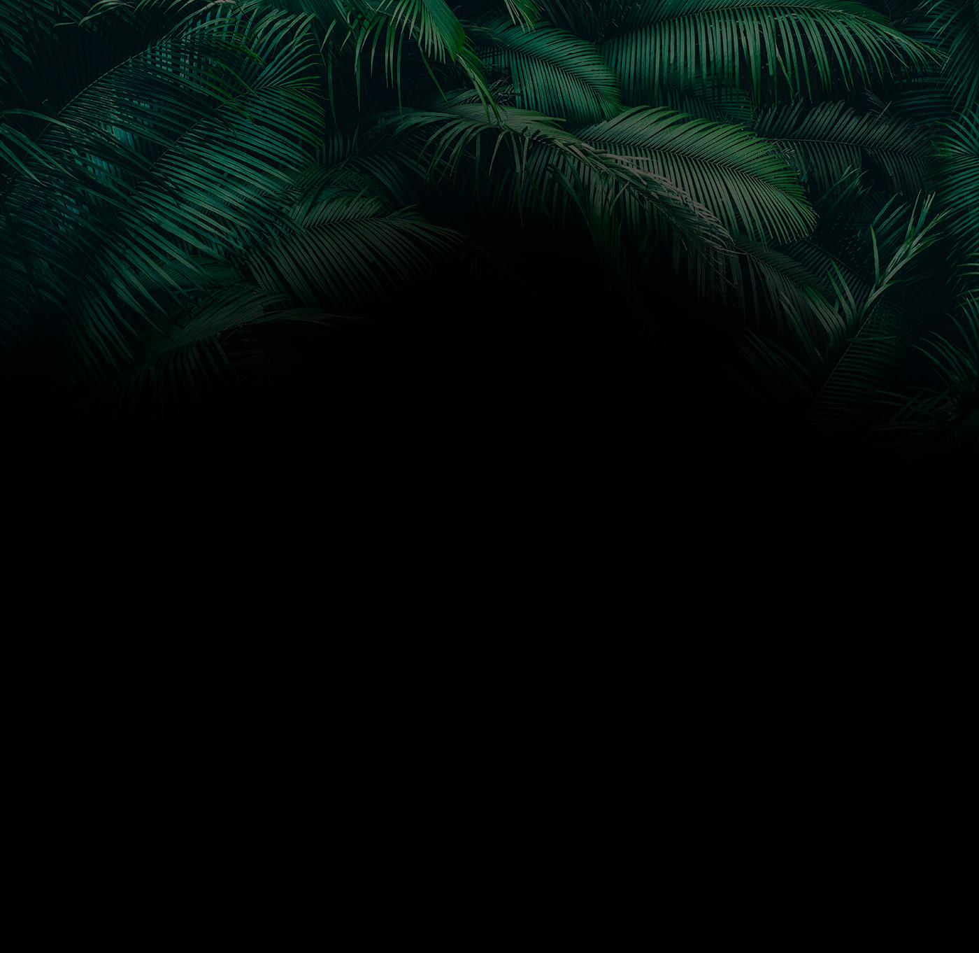 Events and Show Menu, Lulu Wild